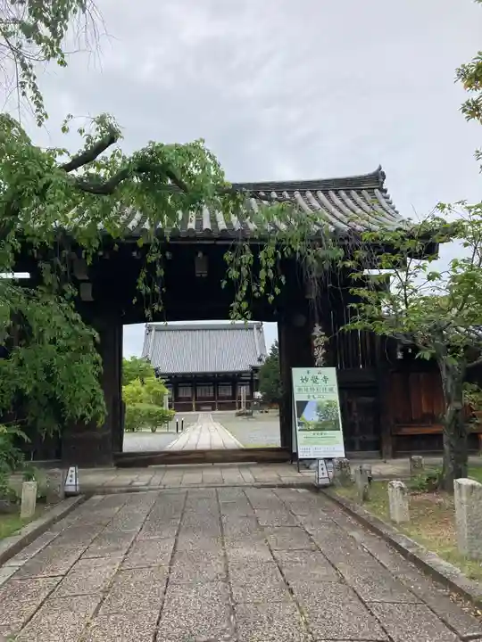 妙覺寺(妙覚寺)(京都府)