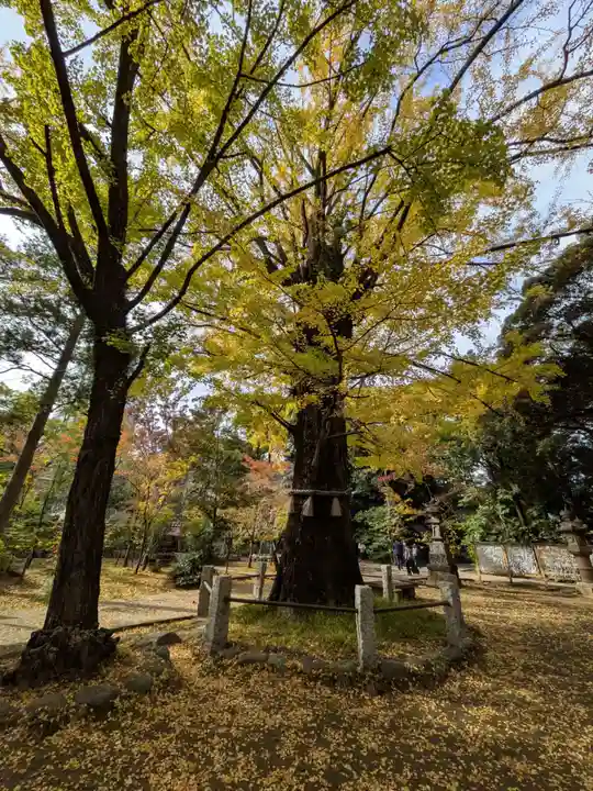 赤坂氷川神社(東京都)