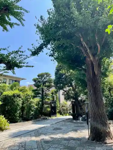 遍照寺(神奈川県)