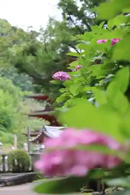 長谷寺のその他建物