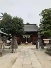 稲荷神社(埼玉県)