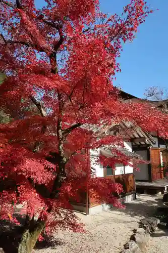 永保寺(岐阜県)
