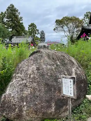 般若寺 ❁﻿コスモス寺❁(奈良県)
