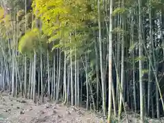 石清水八幡宮の自然