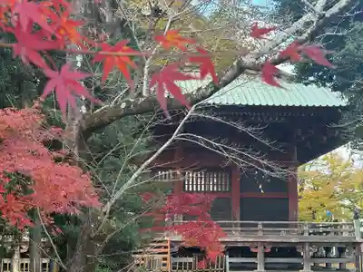 滑河山龍正院(千葉県)