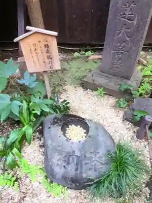 陽運寺(東京都)