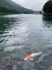 赤城神社(群馬県)