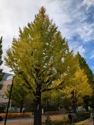 鳩森八幡神社(東京都)