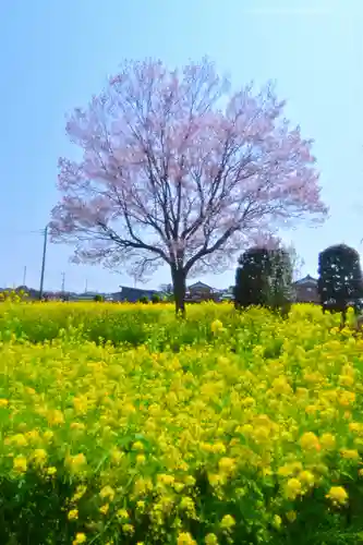 瑞雲寺(神奈川県)