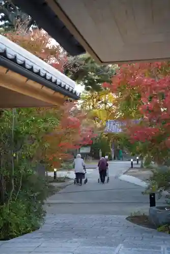 普元寺(愛知県)