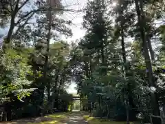 成田熊野神社の建物その他