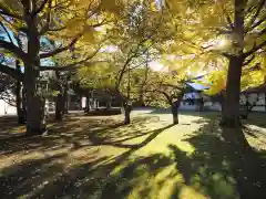 岩内神社の建物その他