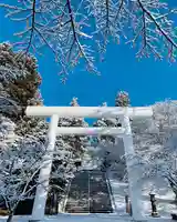 深雪の白大鳥居