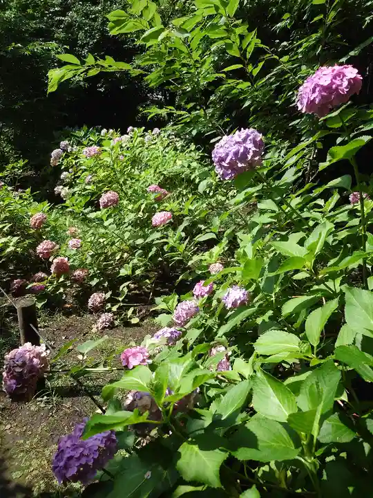 宝戒寺(神奈川県)