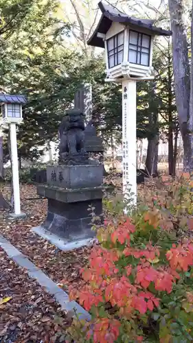 新琴似神社の狛犬