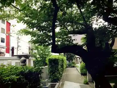 本傳寺のその他建物