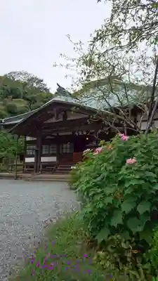 海蔵寺の本殿・本堂