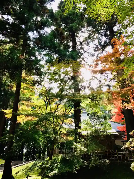 中尊寺本堂の自然