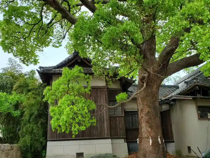 難波熊野神社の本殿