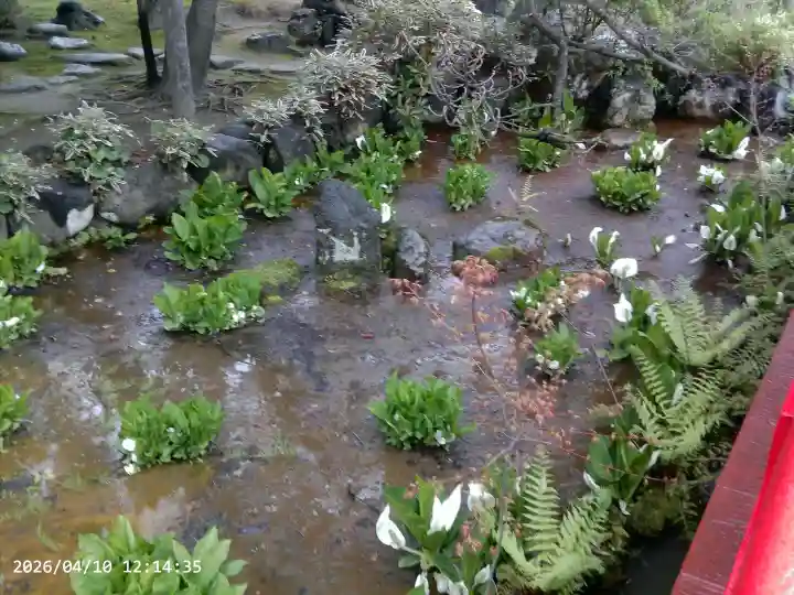 白山神社の{uncategorized: "未分類", other: "その他", undefined: "問題あり", building: "その他建物", grave: "お墓", sacred_gate: "鳥居", guardian: "狛犬", statue: "像", buddha: "仏像", history: "歴史", nature: "自然", garden: "庭園", animal: "動物", pagoda: "塔", temizu: "手水舎", mountain_gate: "山門・神門", sanctuary: "本殿・本堂", subordinate: "末社・摂社", art: "芸術", scenery: "景色", jizo: "地蔵", ema: "絵馬", goshuin: "御朱印", omikuji: "おみくじ", items: "授与品その他", amulet: "お守り", goshuincho: "御朱印帳", eats: "食事", festival: "お祭り", votive_dance: "神楽", shichigosan: "七五三参", wedding: "結婚式", experience: "体験その他", initially: "初詣", around: "周辺", anti_infection: "感染症対策"}