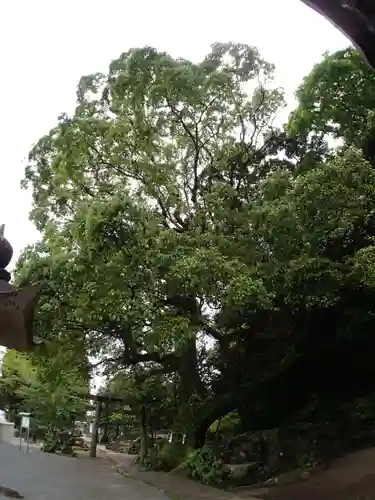 立磐神社のその他建物