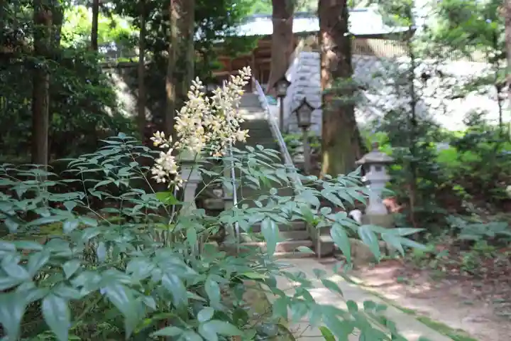 鹿島大神宮の景色