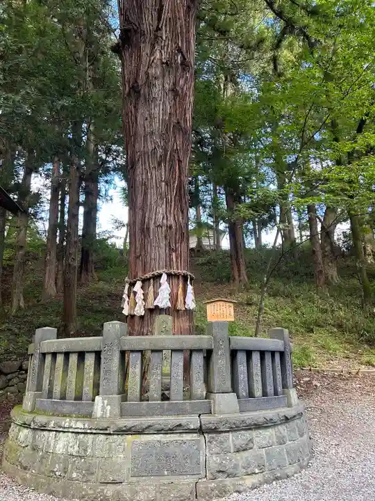 諏訪大社下社春宮(長野県)
