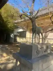 愛知県高浜市春日神社(愛知県)