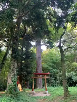 熊野神社(千葉県)
