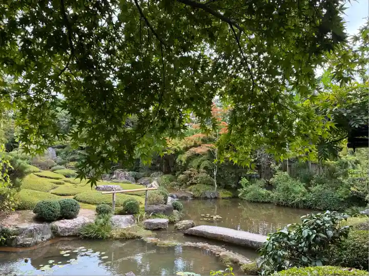 退蔵院(京都府)