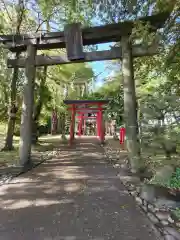 斗瑩稲荷神社の鳥居