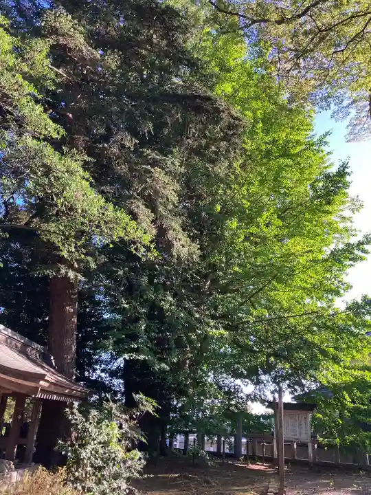 鹿嶋神社の自然