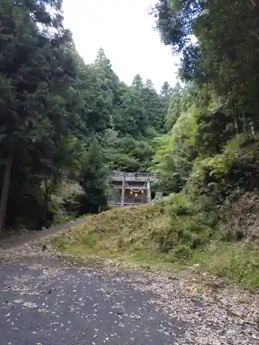 金山神社の鳥居