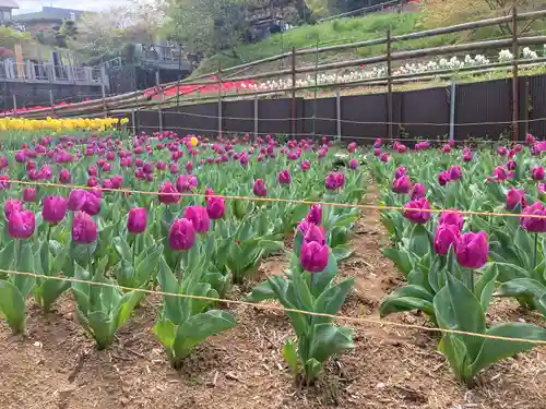 泉蔵寺の庭園