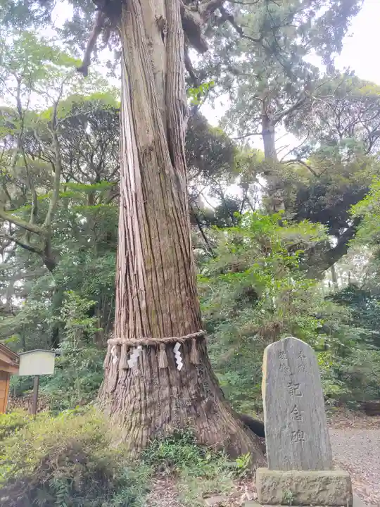 縣神社(千葉県)