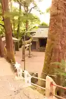天祖神社の鳥居