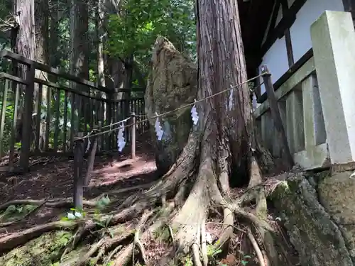 櫻山八幡宮(岐阜県)
