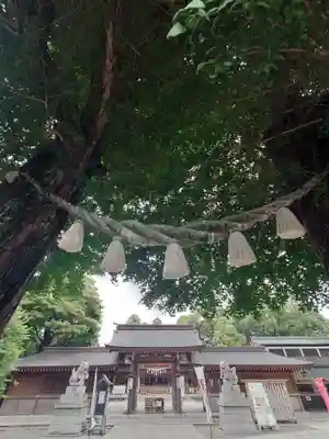 亀ケ池八幡宮(神奈川県)