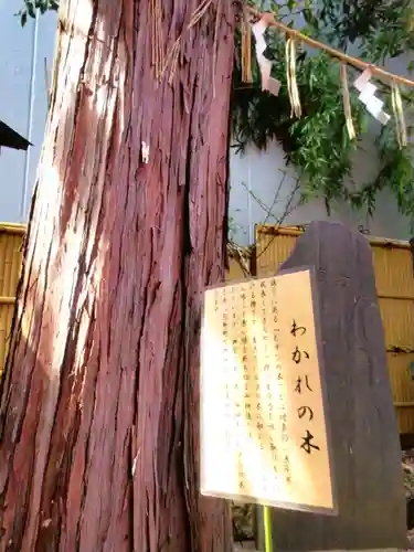 くまくま神社(導きの社 熊野町熊野神社)(東京都)