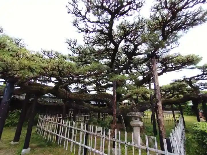 永安寺(愛知県)