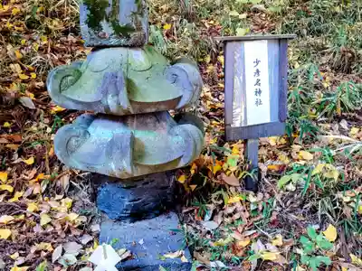 大国神社(群馬県)