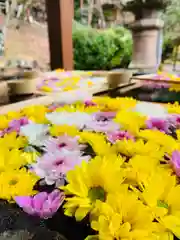 土津神社｜こどもと出世の神さまの手水