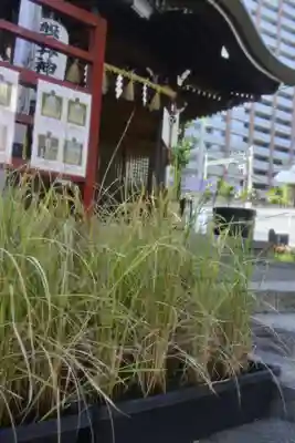 磐井神社の本殿・本堂