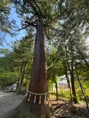 猿投神社(愛知県)