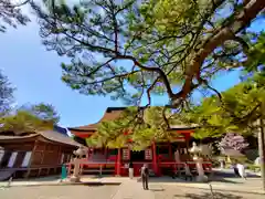 日御碕神社(島根県)