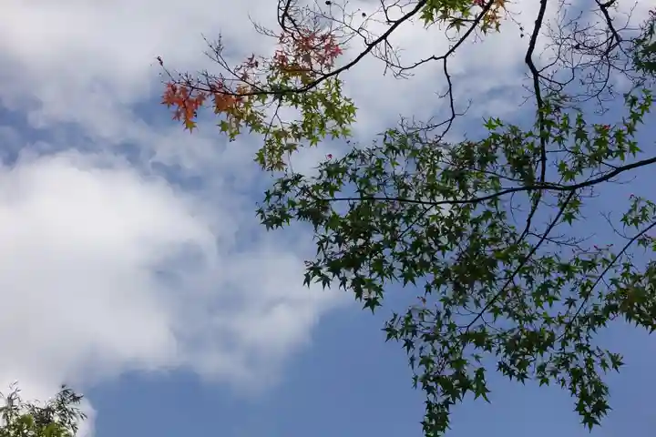 護法善神社の自然
