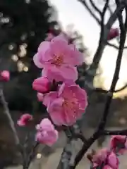 大生郷天満宮の自然