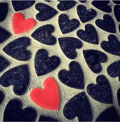 來宮神社のその他建物