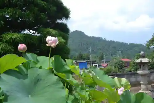 耕雲院(山梨県)
