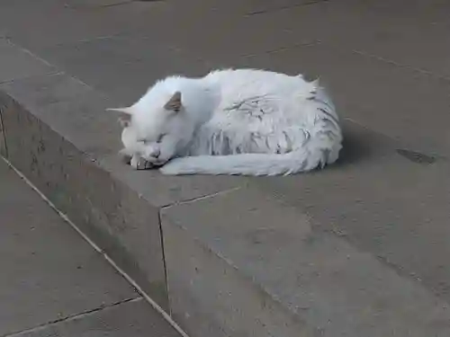 愛宕神社(東京都)